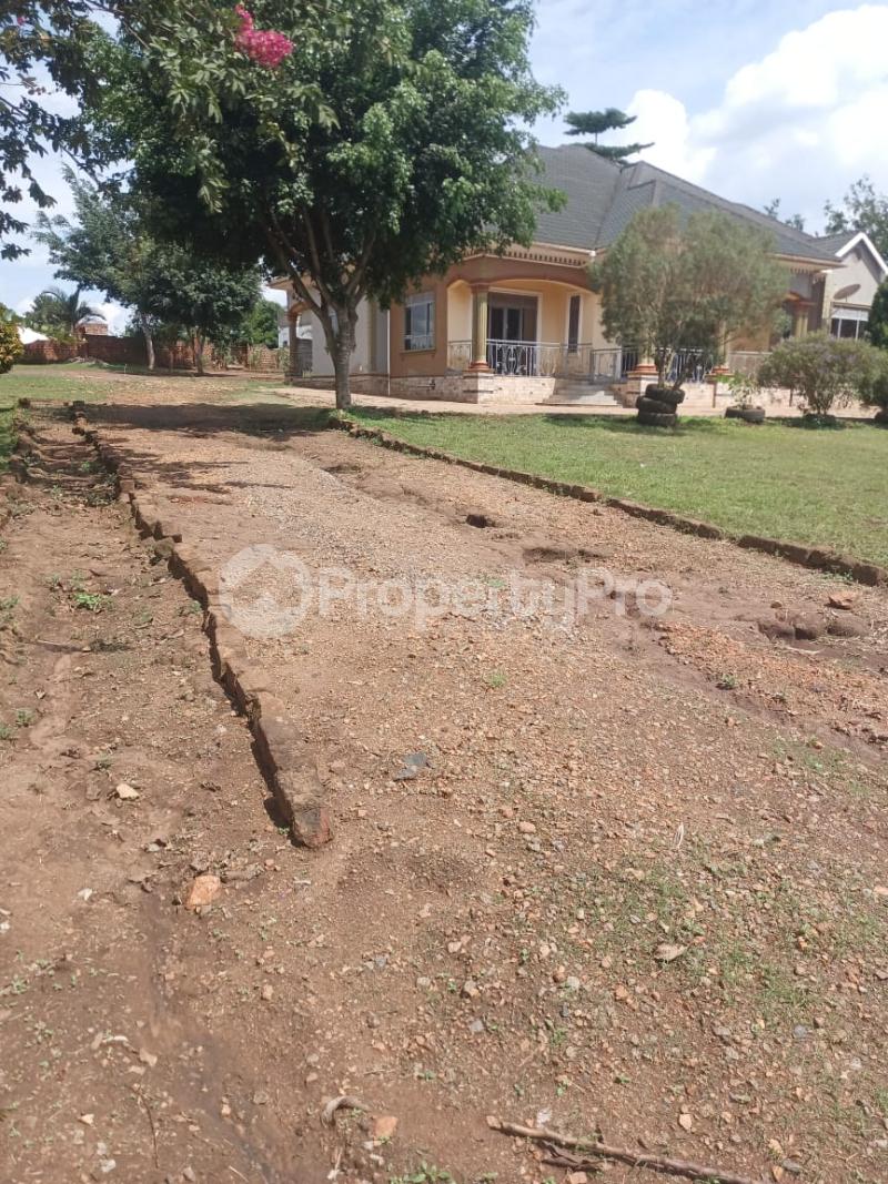 4 bedroom Villa for sale Busika town zirobwe road Nakaseke Central - 12