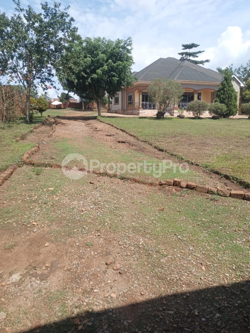 4 bedroom Villa for sale Busika town zirobwe road Nakaseke Central - 3