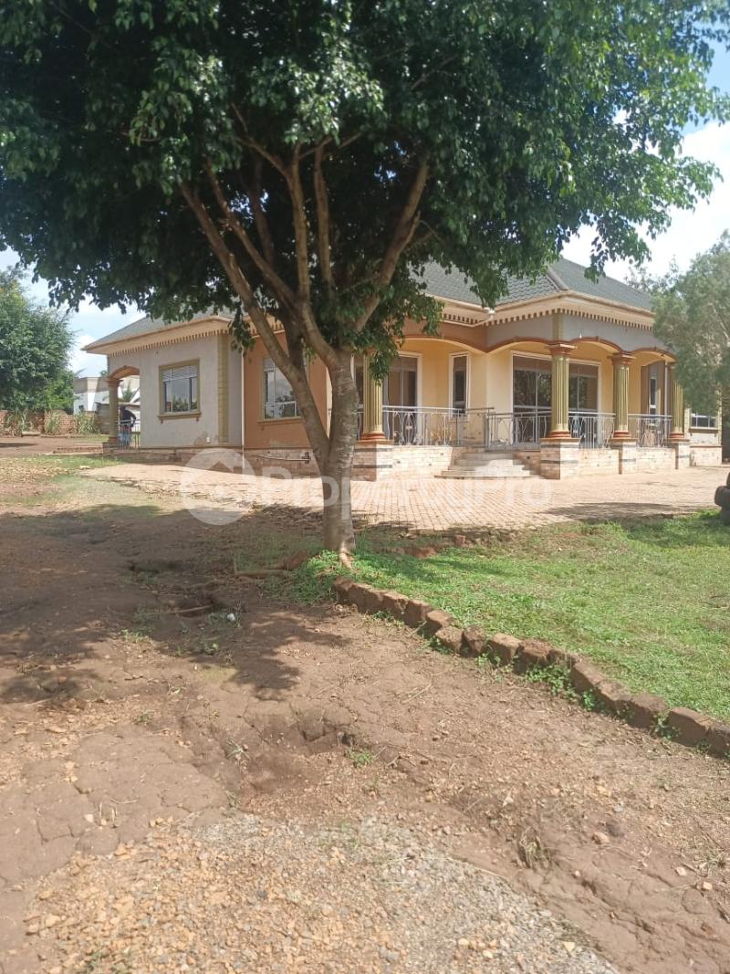 4 bedroom Villa for sale Busika town zirobwe road Nakaseke Central - 11