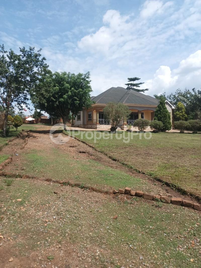 4 bedroom Villa for sale Busika town zirobwe road Nakaseke Central - 13