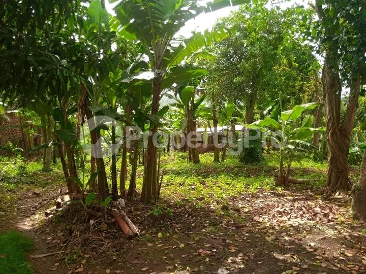 4 bedroom Bungalow Apartment for sale Namugongo  Kampala Central - 7