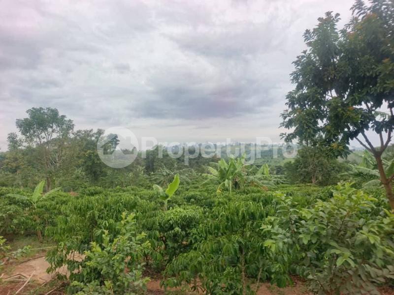 4 bedroom Villa for sale Kibibi mpigi  Mpigi Central - 7