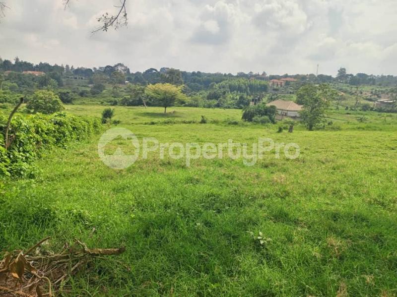 4 bedroom Villa for sale Kibibi mpigi  Mpigi Central - 1