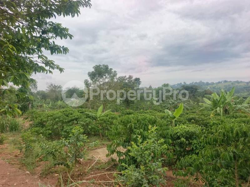 4 bedroom Villa for sale Kibibi mpigi  Mpigi Central - 8