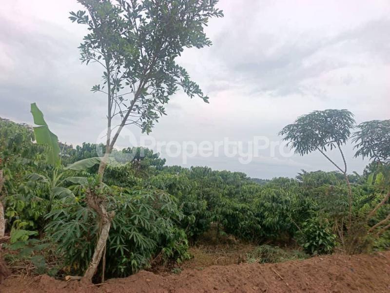 4 bedroom Villa for sale Kibibi mpigi  Mpigi Central - 5