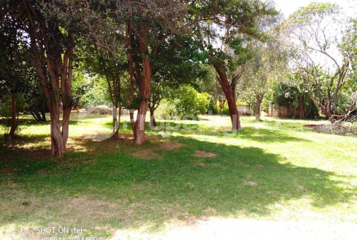 6 bedroom Houses for sale Liffey  Vainona Harare North Harare - 3