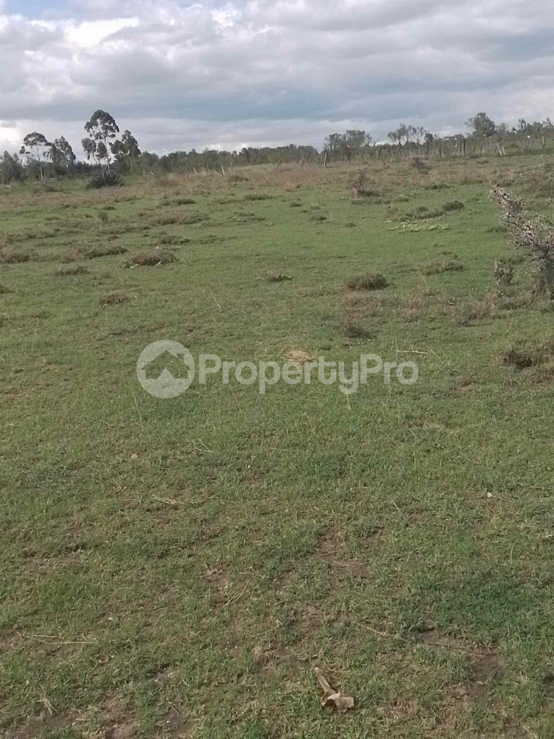 Land for sale Nanyuki Nanyuki