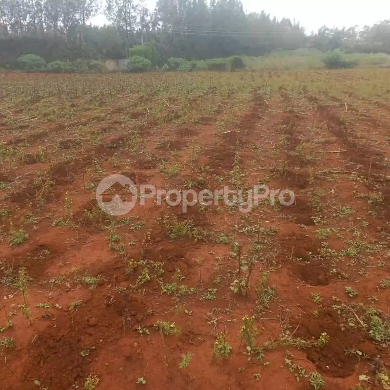 Land for sale Ngong Kajiado