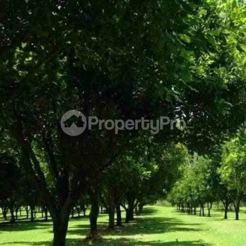 Residential Land for sale Juja Kiambu
