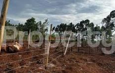 Residential Land for sale ELD ITEN RD Eldoret North Uasin Gishu - 0