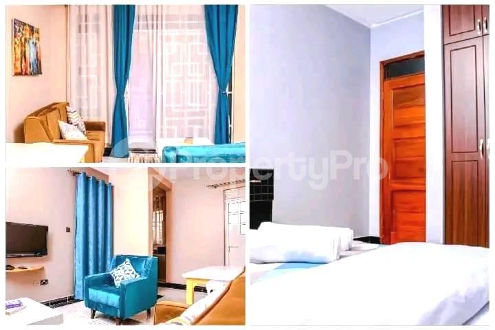 1 bedroom mini flat  Apartment Block Apartment for rent kisaasi road Kisaasi Kampala Central - 5