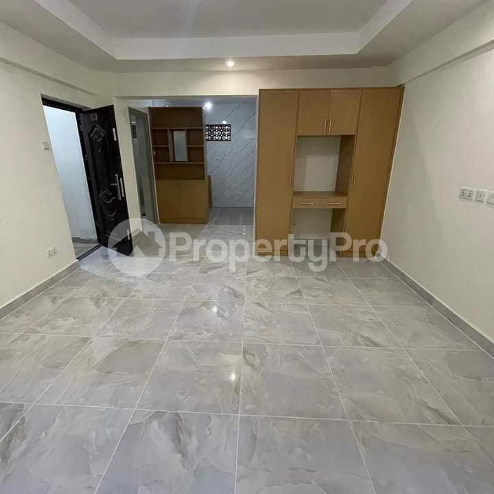 1 bedroom mini flat  Houses for rent Ruaka Nairobi - 5