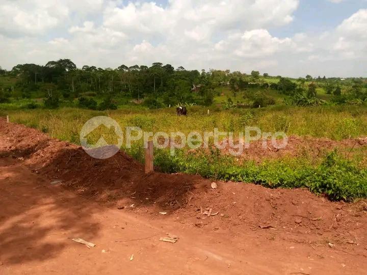 Land for sale Namugongo bukerere  Kampala Central - 2