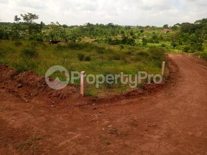 Land for sale Namugongo bukerere  Kampala Central - 3