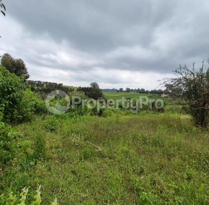 Commercial Land for sale Upper Tigoni Ngecha Tigoni Kiambu
