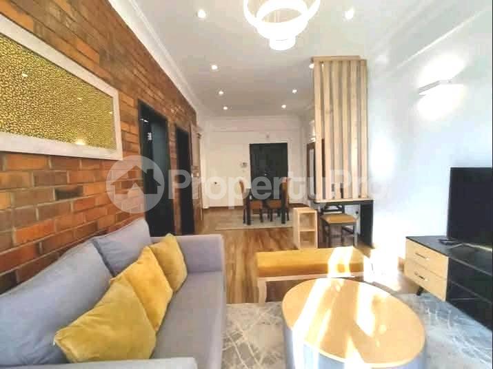 1 bedroom mini flat  Apartment Block Apartment for rent kololo road Kampala Central Kampala Central - 2
