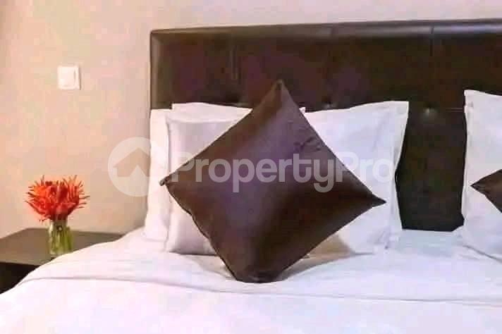 2 bedroom Apartment Block Apartment for rent kololo Kampala Central - 4