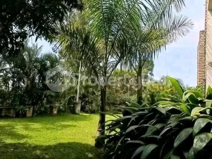 1 bedroom mini flat  Apartment Block Apartment for rent mutungo road Kampala Central - 1