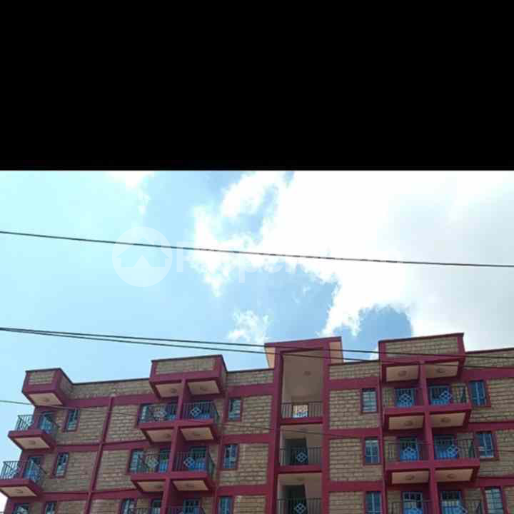 Studio Apartment Flat&Apartment for rent Riruta Nairobi - 0