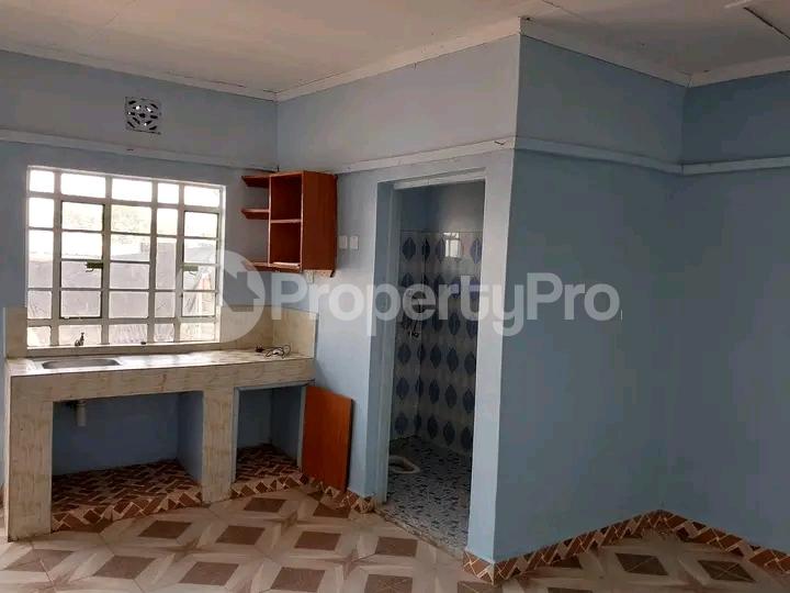 1 bedroom mini flat Bedsitter Flat&Apartment for rent Ruaka Nairobi