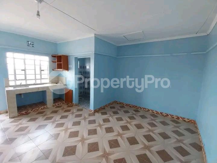 1 bedroom mini flat Bedsitter Flat&Apartment for rent Ruaka Nairobi