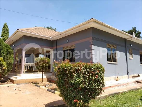 4 bedroom Bungalow Apartment for rent wampeewo road Wakiso Central - 0