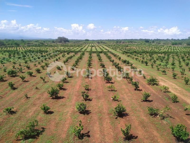 Land for sale Taveta Taita-Taveta