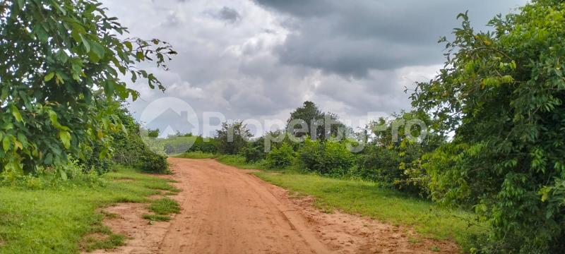 Land for sale Magarini Kilifi