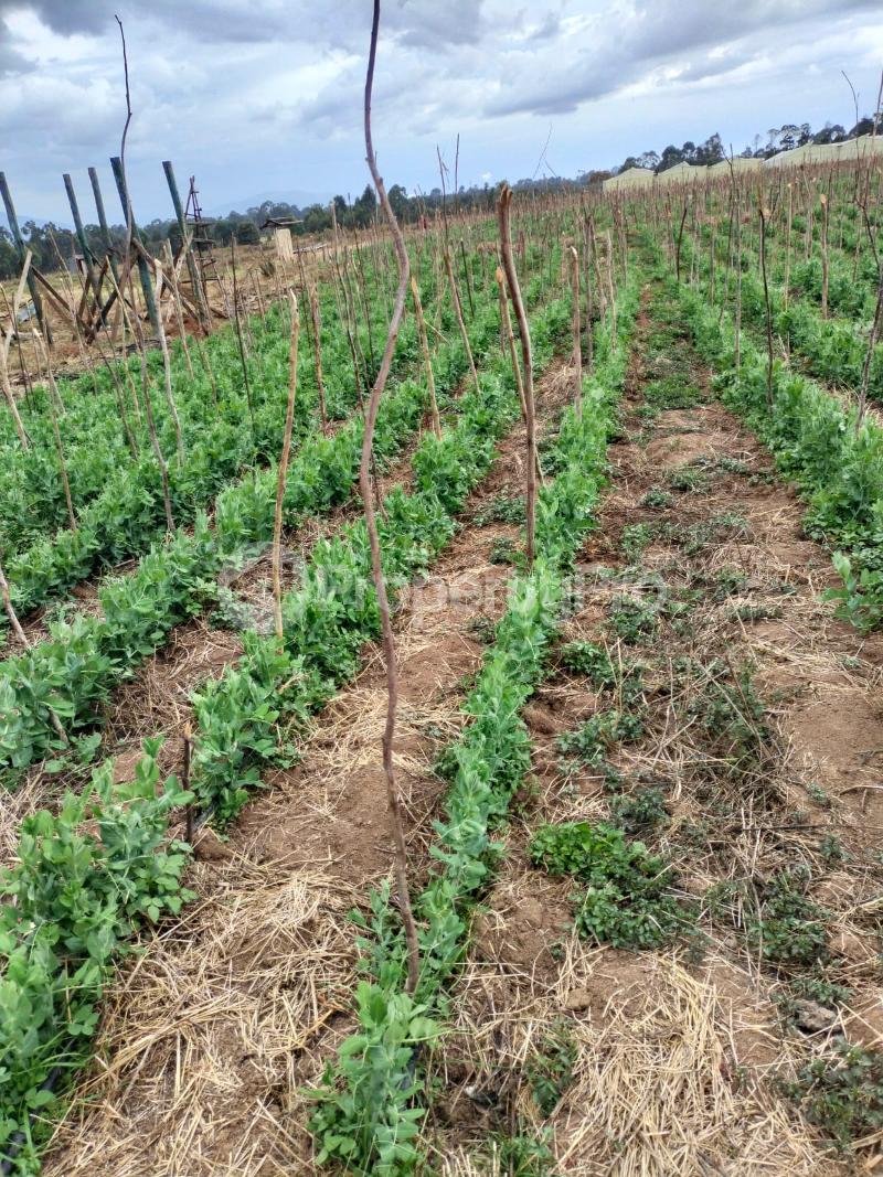 Land for sale Ol Kalou Nyandarua