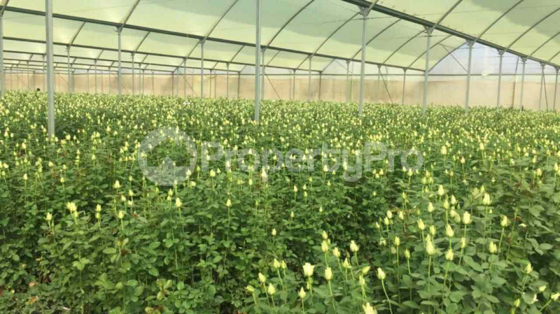 Land for sale Ongata Rongai Kajiado