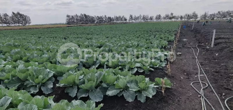 Commercial Properties for sale Ongata Rongai Kajiado