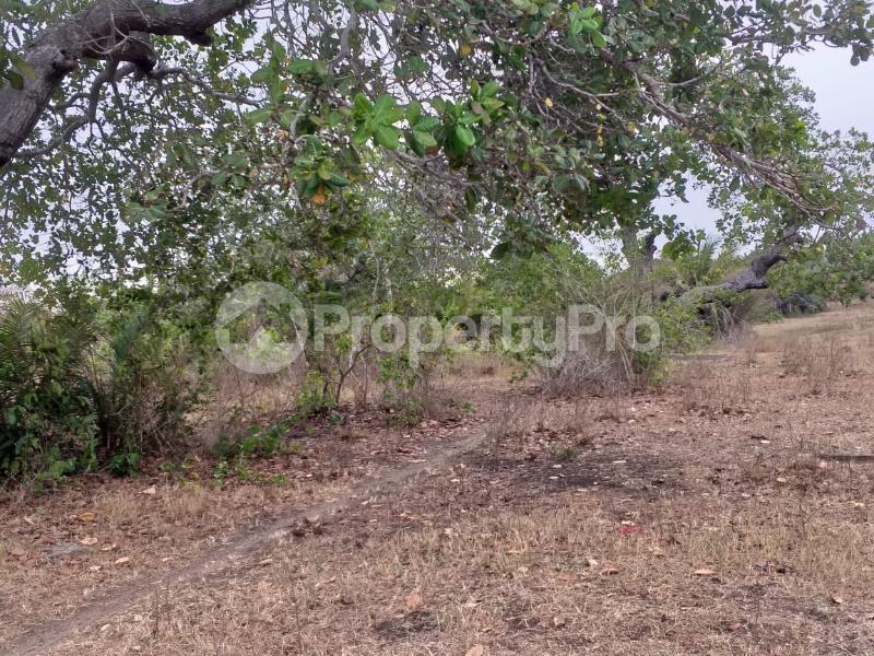 Farm for sale Muhaka, Msambweni Area Msambweni Kwale