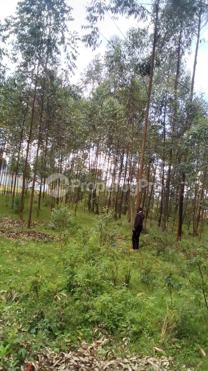 Residential Land for sale kwanza Trans Nzoia