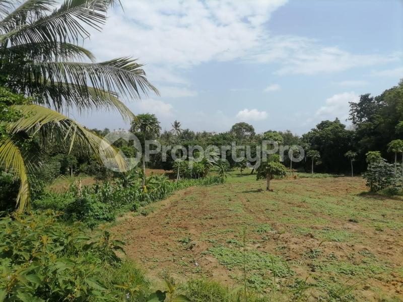 Residential Land for sale Ndonya road  Mtwapa Kilifi South Kilifi