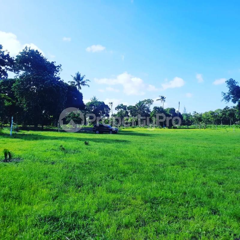 Residential Land for sale Mtwapa Kilifi South Kilifi - 0