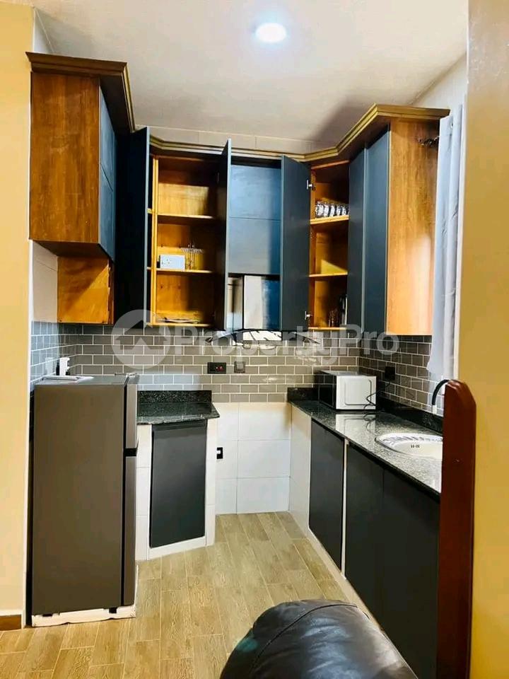 1 bedroom mini flat  Apartment for rent Kyaliwajjala road  Kampala Central Kampala Central - 2