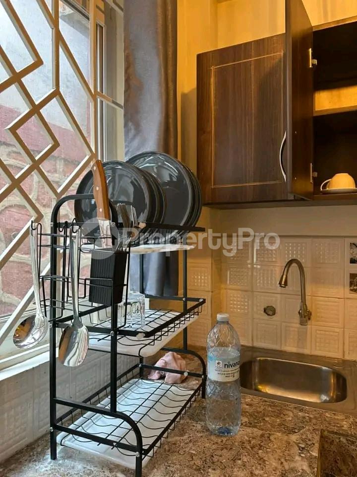 1 bedroom mini flat  Apartment for rent Ntinda  Kampala Central - 4