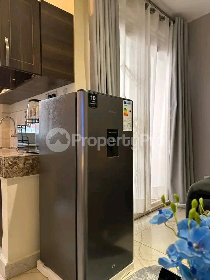 1 bedroom mini flat  Apartment for rent Ntinda  Kampala Central - 8