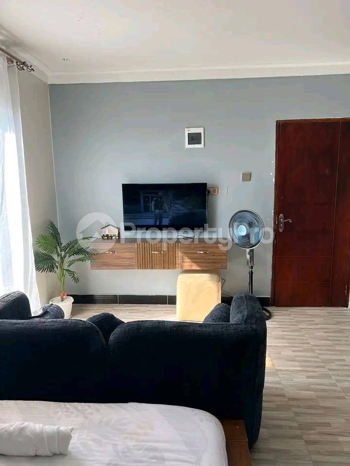 1 bedroom mini flat  Apartment for rent Naalya  Kampala Central - 5