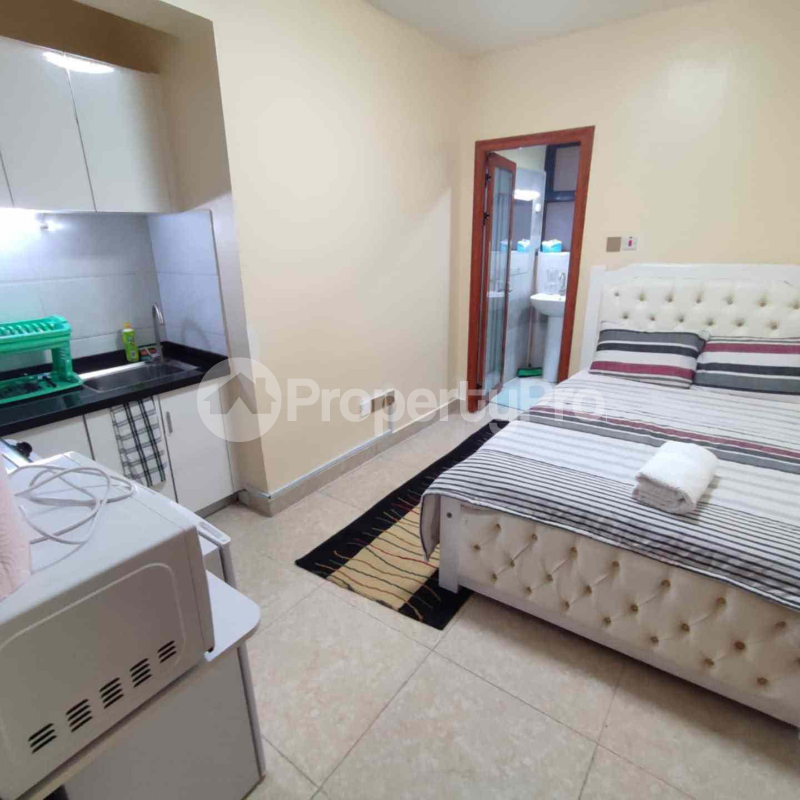 Studio Apartment Flat&Apartment for rent Kileleshwa Nairobi - 0