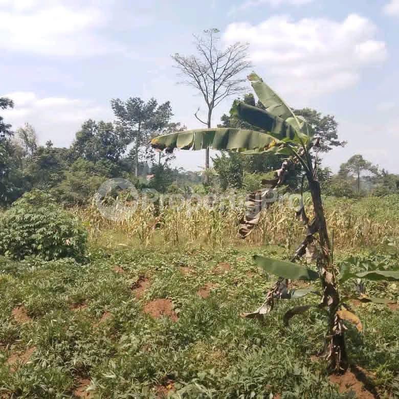 Land for sale Kalagala Gayaza road  Mukono Mukono Central - 1
