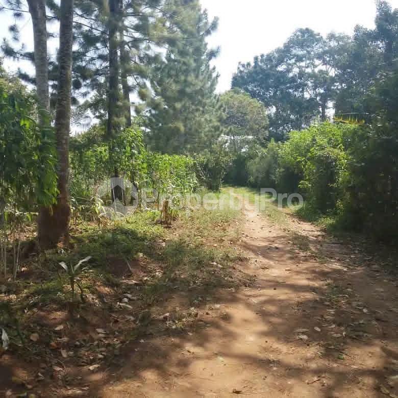 Land for sale Kalagala Gayaza road  Mukono Mukono Central - 0