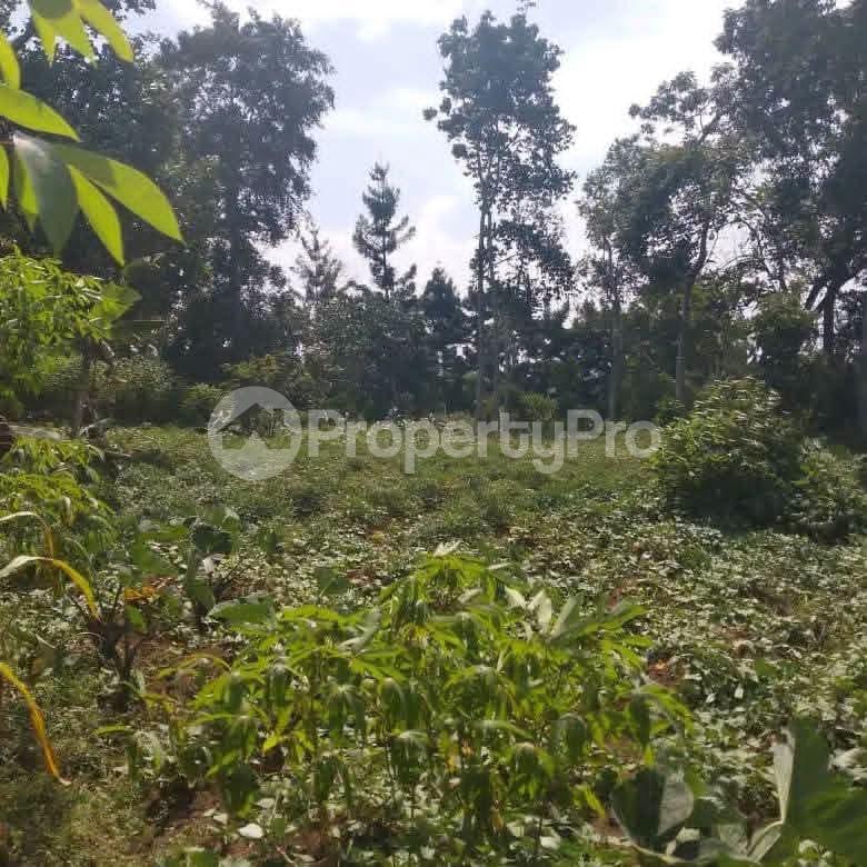 Land for sale Kalagala Gayaza road  Mukono Mukono Central - 2