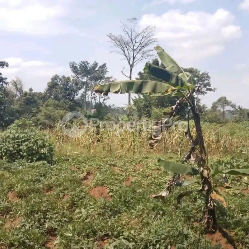 Land for sale Kalagala  Kalagala Mukono Central - 3