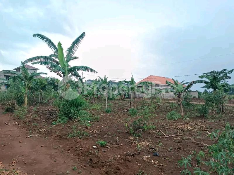 Land for sale Namugongo kiwango Goma Mukono Central - 5