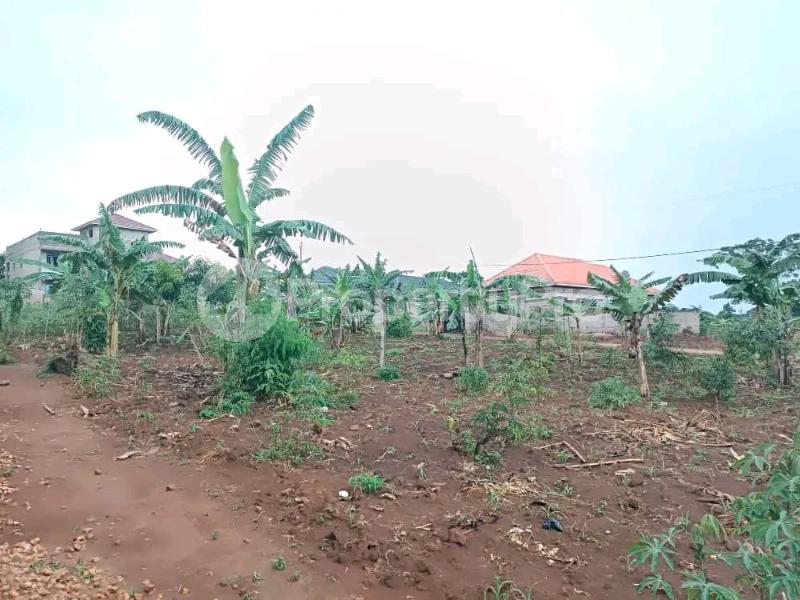 Land for sale Namugongo kiwango Goma Mukono Central - 2