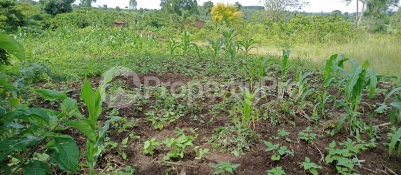 Land for sale Mpiligwa mityana road  Mityana Central - 6