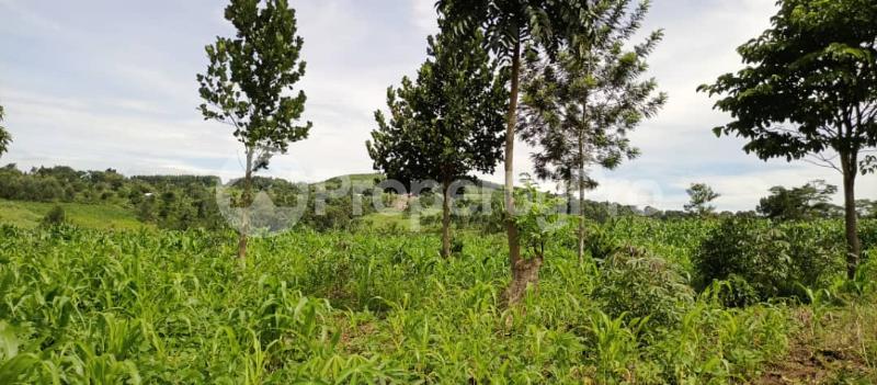 Land for sale Mpiligwa mityana road  Mityana Central - 1