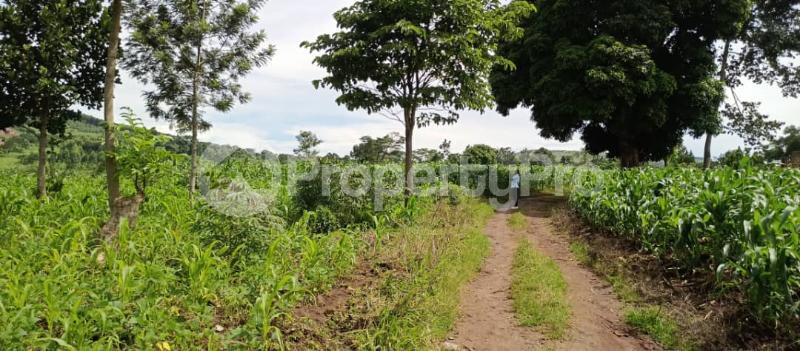Land for sale Mpiligwa mityana road  Mityana Central - 0