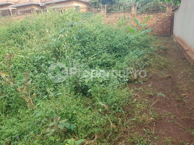 Land for sale Bombo Road  Nabweru Wakiso Central - 4